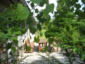 Outdoor - Quartier Potsdam Hostel