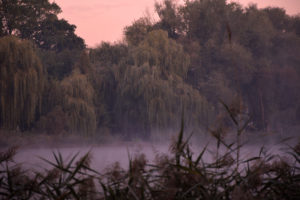 Bornstedter See Morgendämmerung